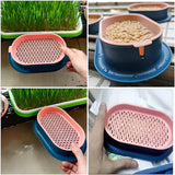 Pet Cat Sprout Dish Growing Pot Cat Grass Germination Digestion Starter Dish Greenhouse Grow Box Hydroponic Plant